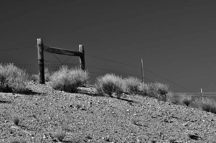 fence